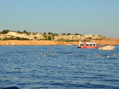 Šarm el Šeik, Crveno more - avio karte Beograd Šarm el Šeik